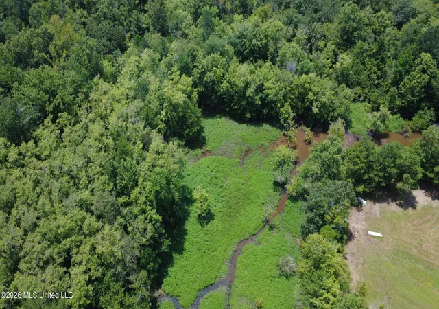 Photo 3 of Land for sale at No St #NO, Louisville, MS 39339 | MLS# 4156939 | Listing updated on 2026-07-24