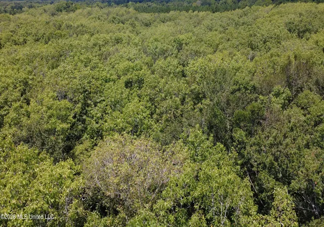 Photo 3 of Land for sale at No St #NO, Louisville, MS 39339 | MLS# 4156939 | Listing updated on 2026-07-24