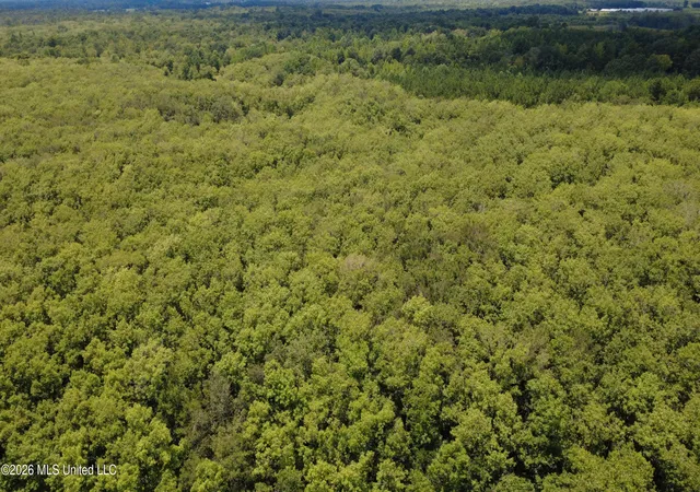 Photo 4 of Land for sale at No St #NO, Louisville, MS 39339 | MLS# 4156939 | Listing updated on 2026-07-24