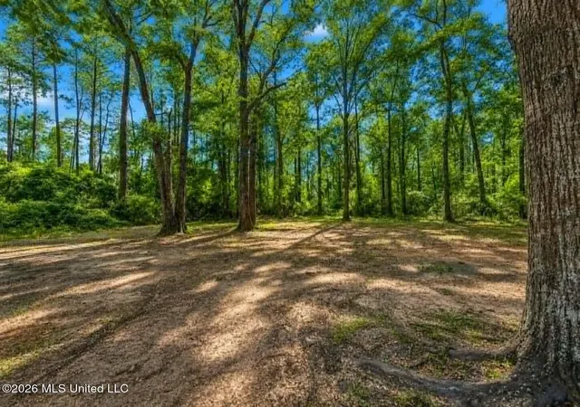 40th image of 1295 Beaver Creek Rd, Lucedale, MS 39452 | MLS# 4157224