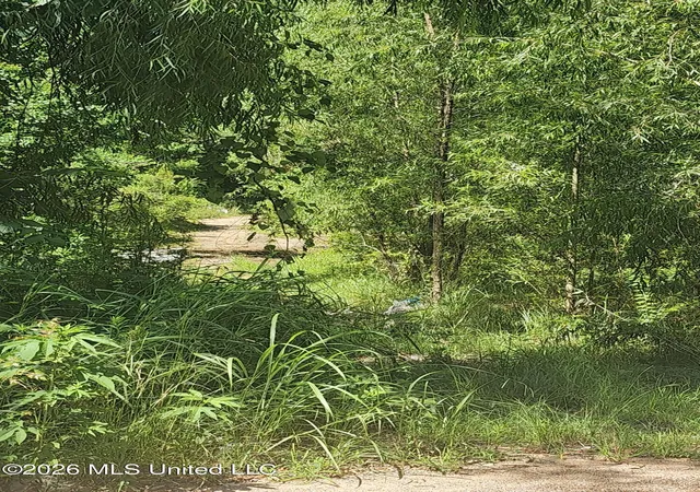 Photo 2 of Single family home for sale at 3210 Forest Ave Ext, Jackson, MS 39213 | MLS# 4156951 | Listing updated on 2026-07-24