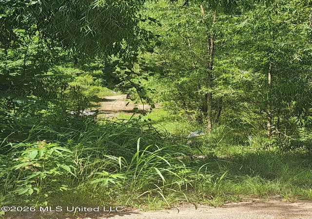 Photo 3 of Single family home for sale at 3210 Forest Ave Ext, Jackson, MS 39213 | MLS# 4156951 | Listing updated on 2026-07-24