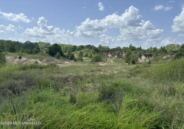 Photo 2 of Land for sale at C J Fisher Dr, Vicksburg, MS 39180 | MLS# 4156986 | Listing updated on 2026-07-24