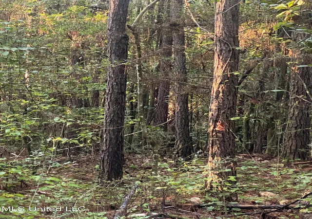 2nd image of ### Kirby Creek Rd, Wiggins, MS 39577 | MLS# 4157021
