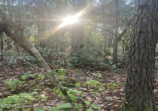 3rd image of ### Kirby Creek Rd, Wiggins, MS 39577 | MLS# 4157021
