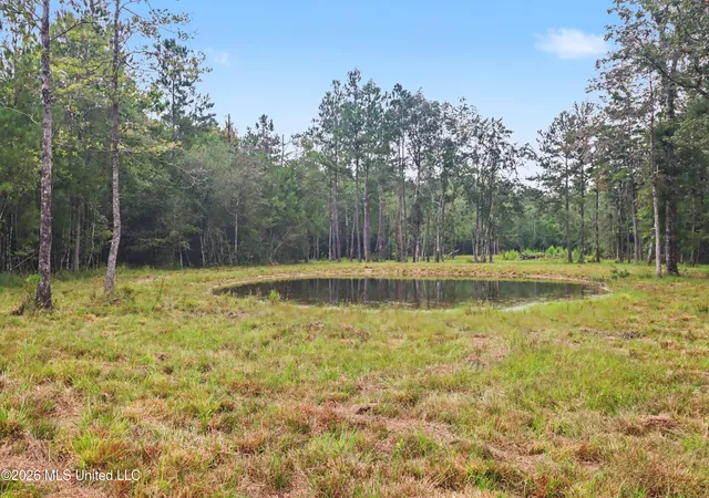 20th image of 400 B New Hope Rd, Wiggins, MS 39577 | MLS# 4157040