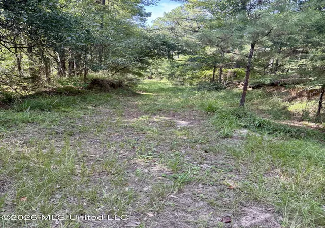 Photo 2 of Land for sale at Vine Holw, Woodville, MS 39669 | MLS# 4157253 | Listing updated on 2026-07-27