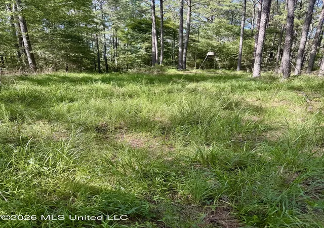 Photo 3 of Land for sale at Vine Holw, Woodville, MS 39669 | MLS# 4157253 | Listing updated on 2026-07-27