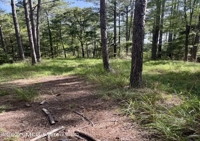 Photo 3 of Land for sale at Vine Holw, Woodville, MS 39669 | MLS# 4157253 | Listing updated on 2026-07-27
