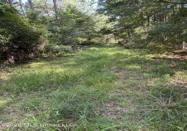 Photo 4 of Land for sale at Vine Holw, Woodville, MS 39669 | MLS# 4157253 | Listing updated on 2026-07-27