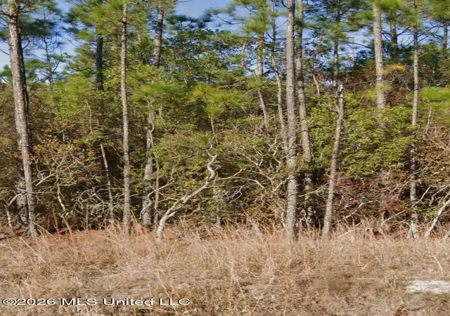 Photo 3 of Land for sale at 0001 Mason Rd, Biloxi, MS 39532 | MLS# 4157059 | Listing updated on 2026-07-24