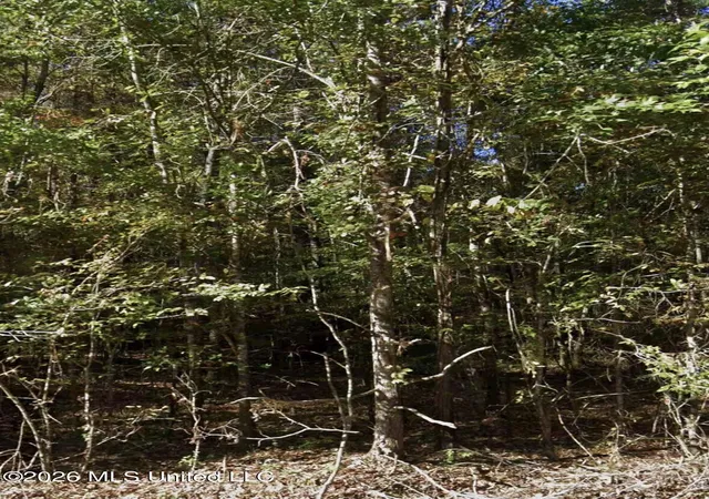 Photo 1 of Sale Pending at S Springdale Rd, Jackson, MS 39209 | MLS# 4157400 | Listing updated on 2026-08-05