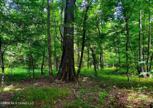 Photo 2 of Land for sale at Perrytown Rd, Crosby, MS 39633 | MLS# 4157135 | Listing updated on 2026-07-26