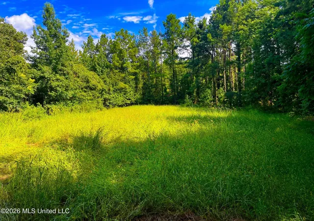 Photo 32 of Land for sale at Perrytown Rd, Crosby, MS 39633 | MLS# 4157135 | Listing updated on 2026-07-26
