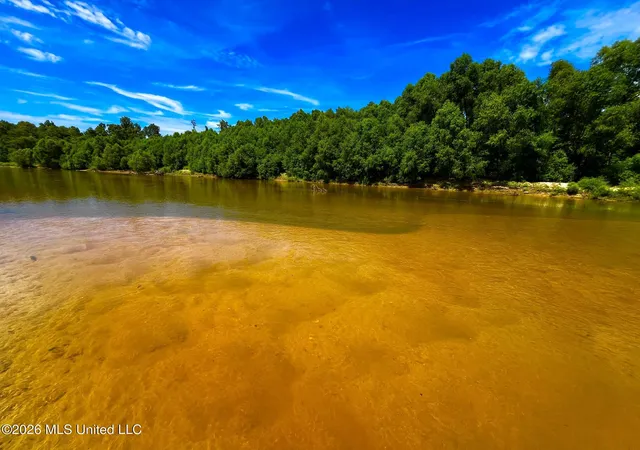 Photo 4 of Land for sale at Perrytown Rd, Crosby, MS 39633 | MLS# 4157135 | Listing updated on 2026-07-26