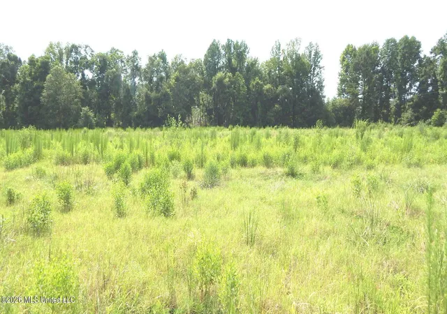 Photo 1 of Land for sale at 590 County Rd 247, Bruce, MS 38915 | MLS# 4157149 | Listing updated on 2026-10-08