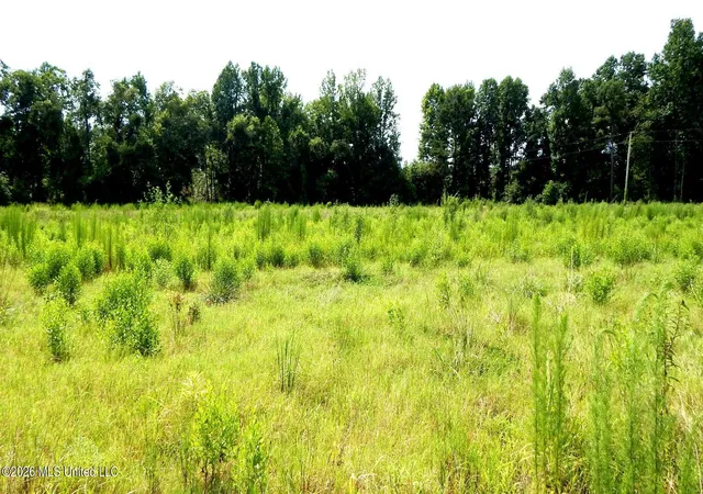 Photo 3 of Land for sale at 590 County Rd 247, Bruce, MS 38915 | MLS# 4157149 | Listing updated on 2026-10-08