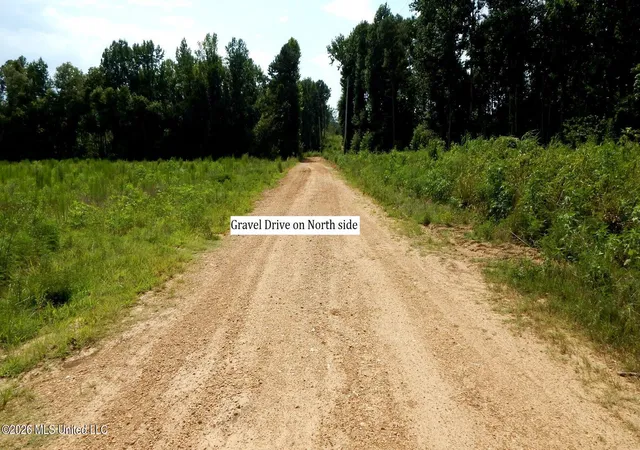 Photo 3 of Land for sale at 590 County Rd 247, Bruce, MS 38915 | MLS# 4157149 | Listing updated on 2026-10-08