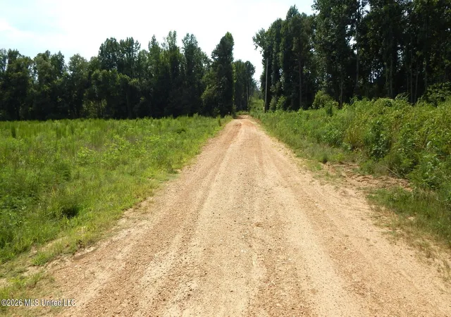 Photo 4 of Land for sale at 590 County Rd 247, Bruce, MS 38915 | MLS# 4157149 | Listing updated on 2026-10-08