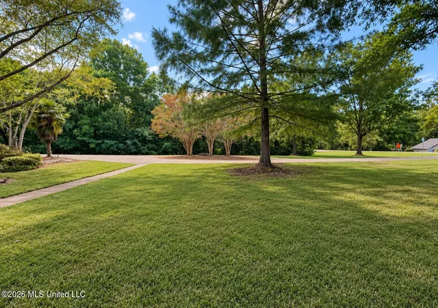 Photo 3 of Single family home for sale at 9739 Springridge Rd, Terry, MS 39170 | MLS# 4157168 | Listing updated on 2026-09-17