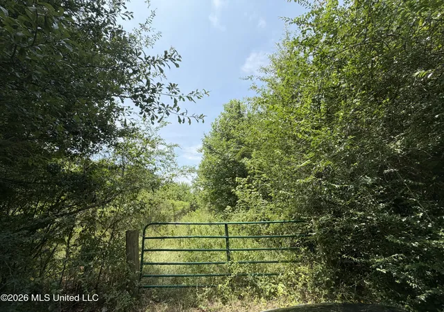 Photo 2 of Land for sale at Old Jackson Rd, Madison, MS 39110 | MLS# 4157249 | Listing updated on 2026-08-31