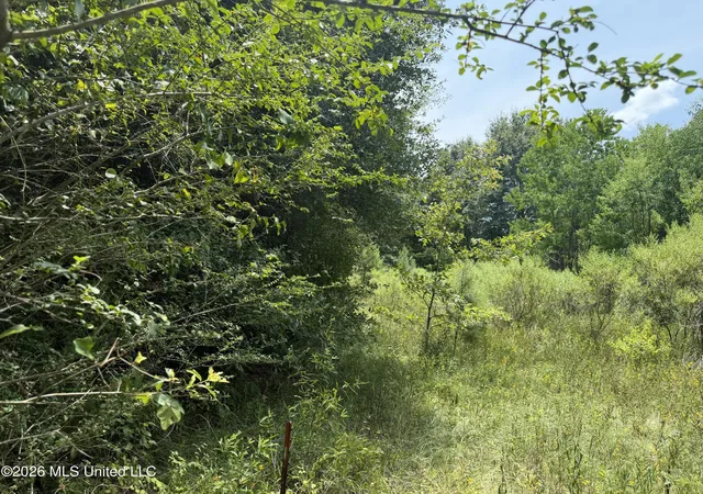 Photo 3 of Land for sale at Old Jackson Rd, Madison, MS 39110 | MLS# 4157249 | Listing updated on 2026-08-31