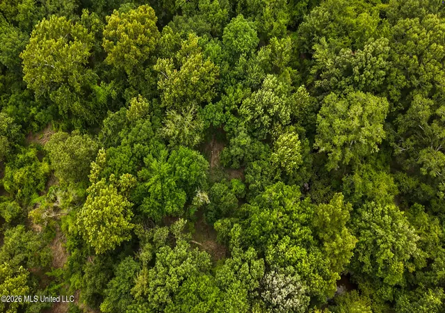 Photo 3 of Land for sale at 2492 Acres Pearl River, Poplarville, MS 39470 | MLS# 4157172 | Listing updated on 2026-08-03