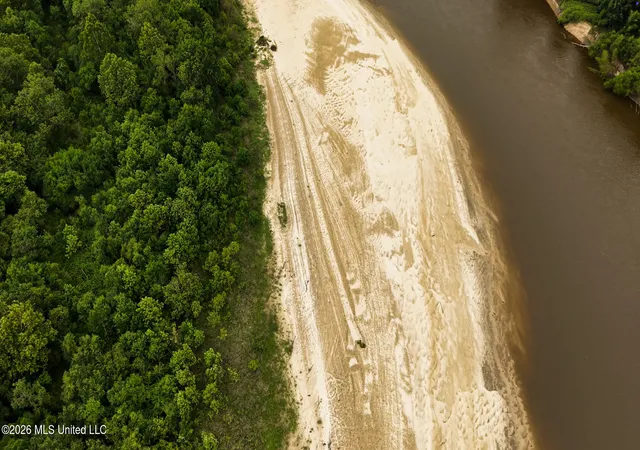 Photo 4 of Land for sale at 2492 Acres Pearl River, Poplarville, MS 39470 | MLS# 4157172 | Listing updated on 2026-08-03