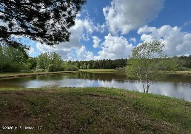 Photo 1 of Land for sale at Mississippi 583, Tylertown, MS 39667 | MLS# 4157197 | Listing updated on 2026-07-28