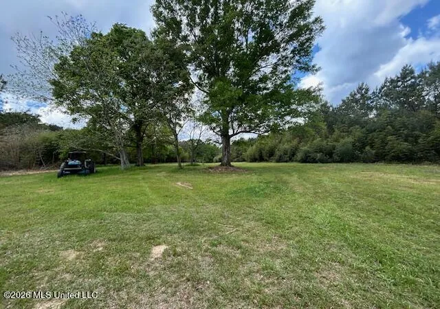 Photo 2 of Land for sale at Mississippi 583, Tylertown, MS 39667 | MLS# 4157197 | Listing updated on 2026-07-28