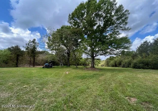 Photo 3 of Land for sale at Mississippi 583, Tylertown, MS 39667 | MLS# 4157197 | Listing updated on 2026-07-28