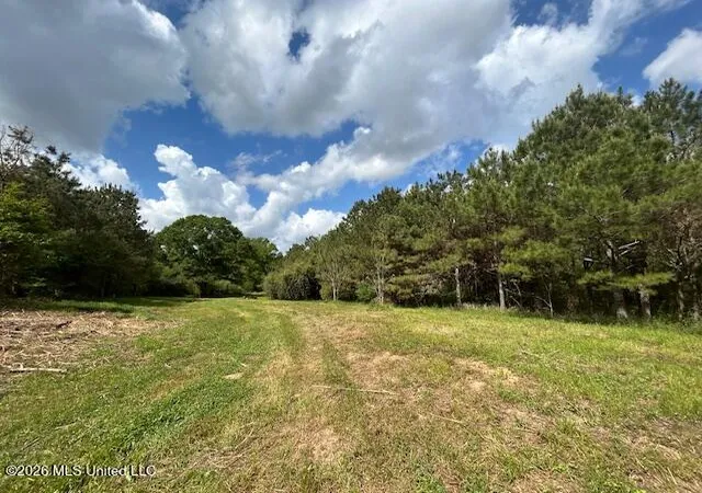 Photo 4 of Land for sale at Mississippi 583, Tylertown, MS 39667 | MLS# 4157197 | Listing updated on 2026-07-28