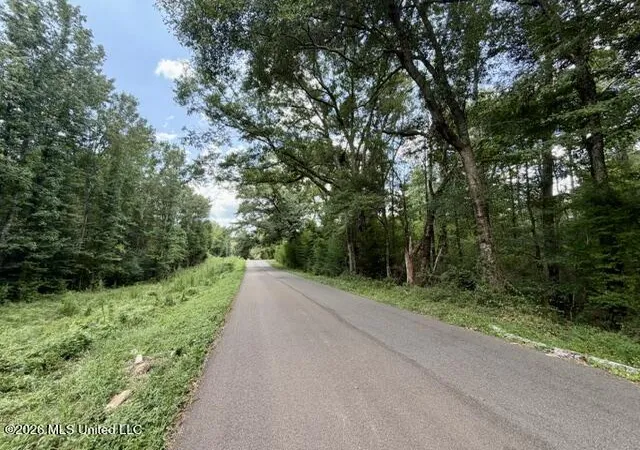 Photo 17 of Land for sale at Se Lee Dr, Bogue Chitto, MS 39629 | MLS# 4157608 | Listing updated on 2026-07-30