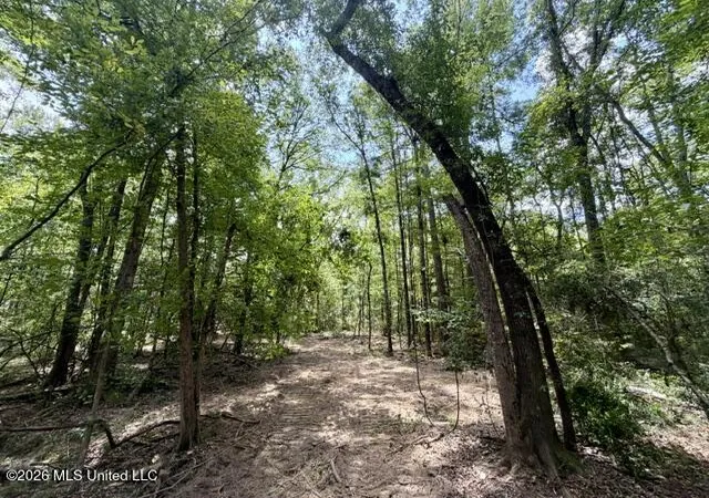 Photo 1 of Land for sale at Se Lee Dr, Bogue Chitto, MS 39629 | MLS# 4157608 | Listing updated on 2026-07-30