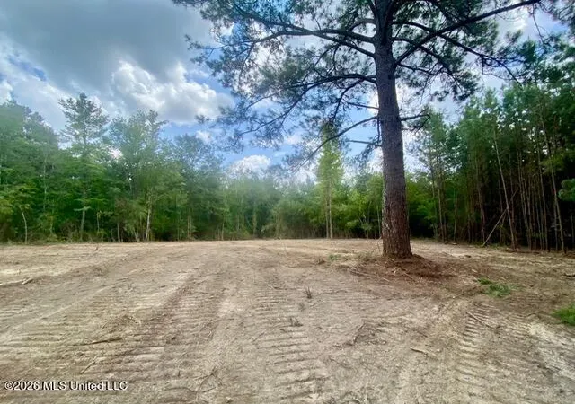 Photo 2 of Land for sale at Se Lee Dr, Bogue Chitto, MS 39629 | MLS# 4157608 | Listing updated on 2026-07-30