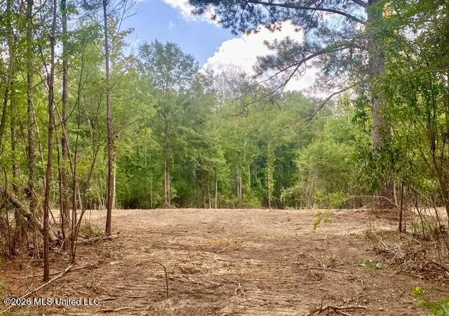 Photo 2 of Land for sale at SE Lee Dr, Bogue Chitto, MS 39629 | MLS# 4157608 | Listing updated on 2026-07-30