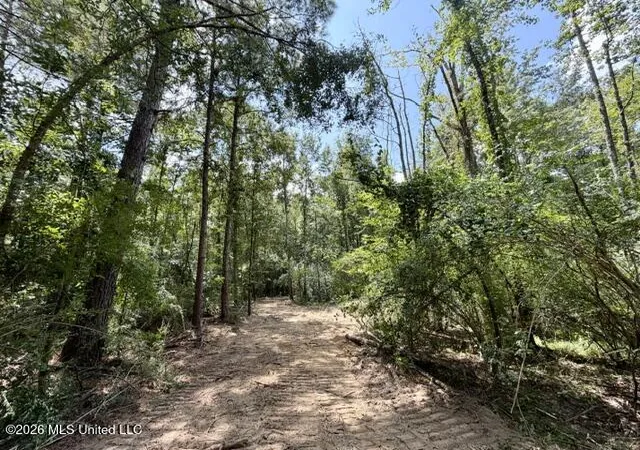 Photo 3 of Land for sale at SE Lee Dr, Bogue Chitto, MS 39629 | MLS# 4157608 | Listing updated on 2026-07-30