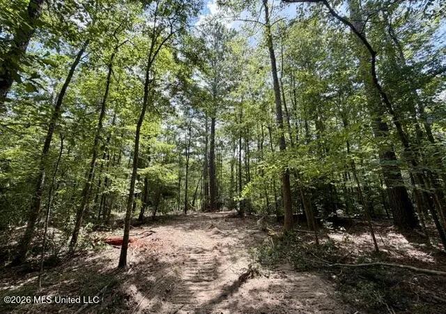 Photo 4 of Land for sale at SE Lee Dr, Bogue Chitto, MS 39629 | MLS# 4157608 | Listing updated on 2026-07-30