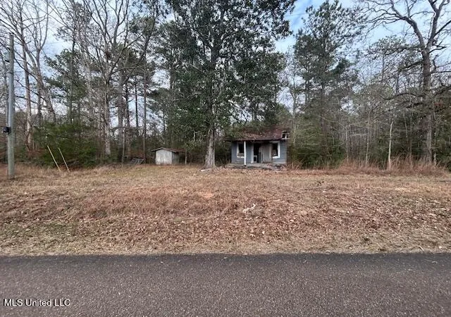Photo 1 of Land for sale at 0 Se Pricedale Dr, Bogue Chitto, MS 39629 | MLS# 4157605 | Listing updated on 2026-07-30