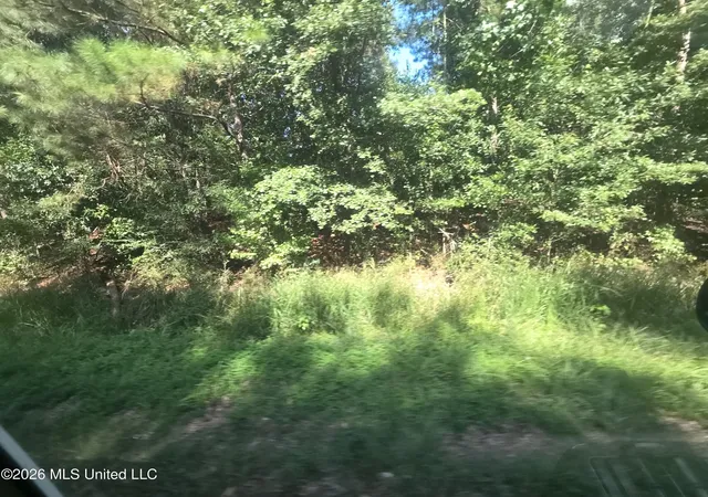 Photo 21 of Land for sale at 000 Duckworth Rd, Sontag, MS 39665 | MLS# 4157286 | Listing updated on 2026-07-28