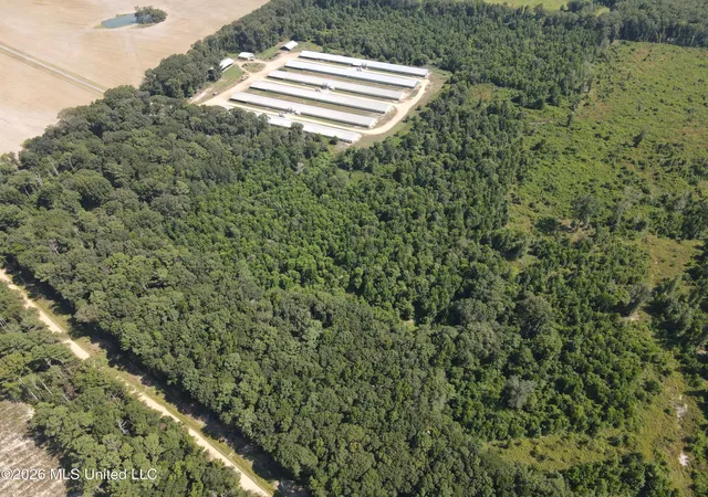 Photo 2 of Land for sale at 000 Duckworth Rd, Sontag, MS 39665 | MLS# 4157286 | Listing updated on 2026-07-28