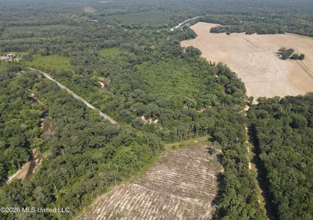 Photo 2 of Land for sale at 000 Duckworth Rd, Sontag, MS 39665 | MLS# 4157286 | Listing updated on 2026-07-28