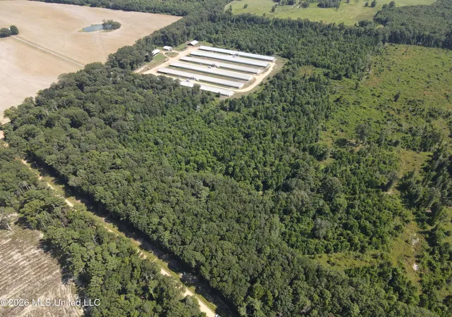 Photo 3 of Land for sale at 000 Duckworth Rd, Sontag, MS 39665 | MLS# 4157286 | Listing updated on 2026-07-28