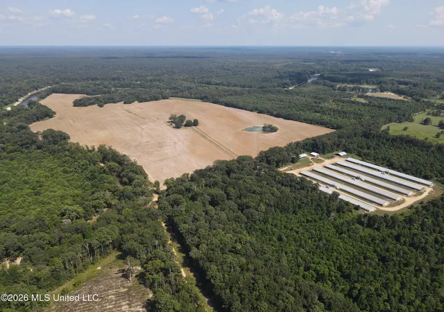 Photo 4 of Land for sale at 000 Duckworth Rd, Sontag, MS 39665 | MLS# 4157286 | Listing updated on 2026-07-28