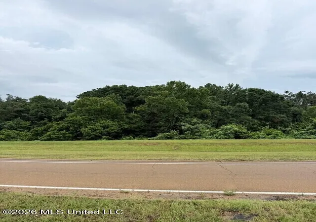 Photo 3 of Land for sale at Highway 82, Carrollton, MS 38917 | MLS# 4158185 | Listing updated on 2026-08-05