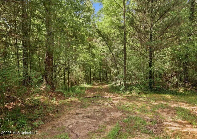 Photo 1 of Land for sale at 077 Sulphur Springs Rd, Canton, MS 39046 | MLS# 4157360 | Listing updated on 2026-08-03