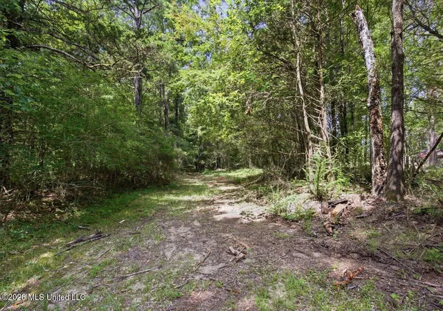 Photo 3 of Land for sale at 077 Sulphur Springs Rd, Canton, MS 39046 | MLS# 4157360 | Listing updated on 2026-08-03
