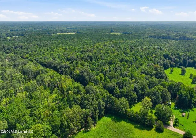 Photo 3 of Land for sale at 077 Sulphur Springs Rd, Canton, MS 39046 | MLS# 4157360 | Listing updated on 2026-08-03