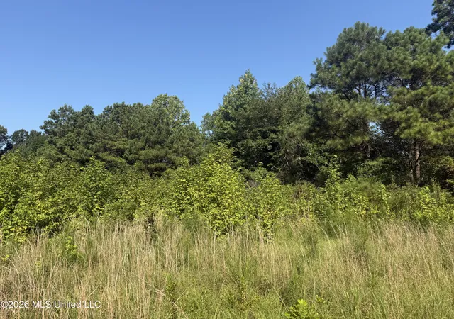 Photo 2 of Sale Pending at Joe Hall Rd, Flora, MS 39071 | MLS# 4157388 | Listing updated on 2026-08-15