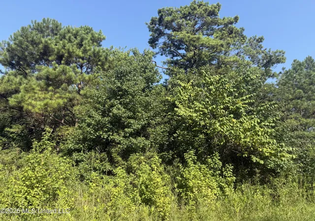 Photo 4 of Sale Pending at Joe Hall Rd, Flora, MS 39071 | MLS# 4157388 | Listing updated on 2026-08-15